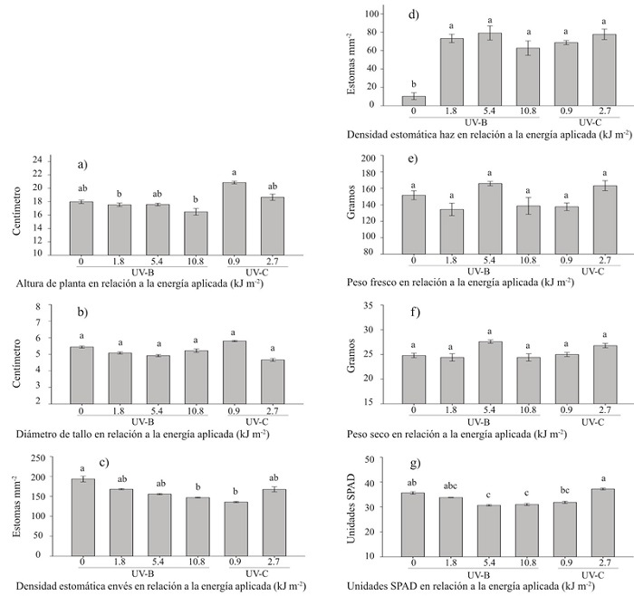 Respuesta de las plantas obtenidas de semillas de tomate h&iacute;brido Big Rio irradiadas con UV-B y UV-C y sembradas en macetas bajo invernadero. Las barras en cada gr&aacute;fico se&ntilde;alan valores promedio para cada variable y literales diferentes sobre cada barra indican diferencias significativas seg&uacute;n una prueba de Tukey (p&le; 0.05). 