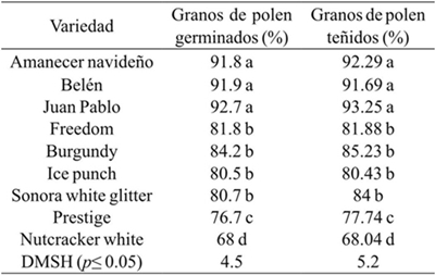 Viabilidad del polen mediante germinaci&oacute;n de tubo pol&iacute;nico a 36 &deg;C y mediante tinci&oacute;n con &aacute;cido ac&eacute;tico-carm&iacute;n, en nueve variedades de nochebuena. 