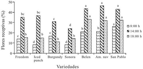 Receptividad del estigma en siete variedades de nochebuena a las 8:00, 14:00 y 18:00 h. 