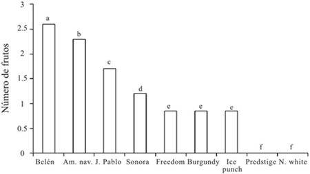 Fructificaci&oacute;n en nueve variedades de nochebuena polinizadas con otra variedad (polinizaci&oacute;n cruzada).