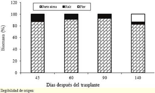 Distribución relativa de la biomasa total en plantas de lisianthus cv. Mariachi Pink. Los valores son el promedio de 25 observaciones. 
