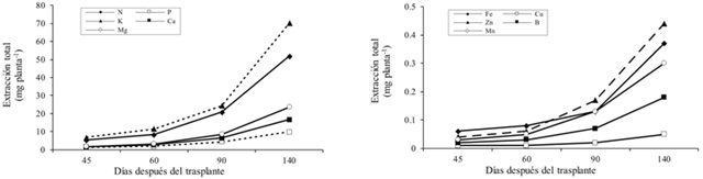 Extracción total por planta de macro y micronutrimentos en lisianthus cv. Mariachi Pink. 