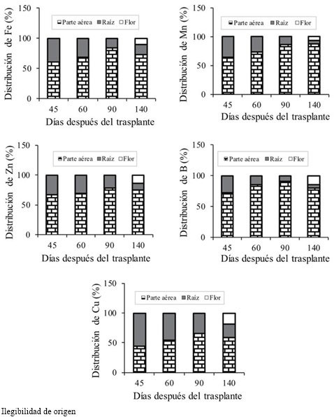 Distribución relativa de micronutrimentos en plantas de lisianthus cv. Mariachi Pink. 