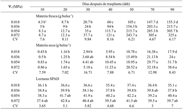 Materia fresca, seca y lecturas SPAD en Coriandrum sativum ‘Pakistan’ cultivado con diferentes potenciales osmóticos de la solución nutritiva.
