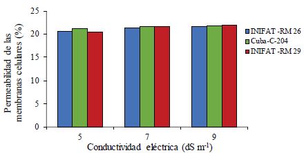 Permeabilidad de la membrana celular (PMC) en callos de tres variedades de trigo harinero formados en medio salino por 24 h. R2= 0.822; 0.824; 0.831 para Cuba-C-204, INIFAT RM 26, INIFAT RM 29 respectivamente. ESx= 0.001 ns NS= no significativo.