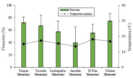 Relaci&oacute;n de porcentaje de floraci&oacute;n y medias de temperaturas m&iacute;nimas (&deg;C), en seis huertas de litchi.