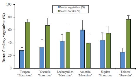 Porcentaje de brotes florales y vegetativos en seis huertas de litchi en el estado de Veracruz, durante el ciclo 2009-2010