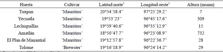 Ubicaci&oacute;n geogr&aacute;fica y altitud, en seis huertas de litchi en el estado de Veracruz.