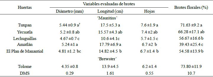 Temperaturas y porcentaje de floraci&oacute;n en seis huertas de litchi en el ciclo 2009 y 2010 en el estado de Veracruz.