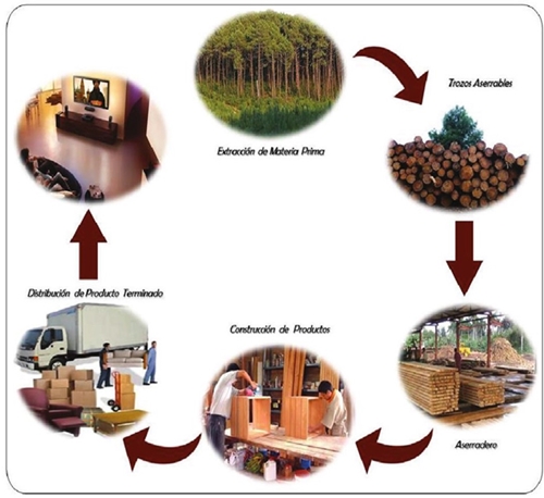 Diagrama de una empresa integradora de aprovechamiento de madera de pino.