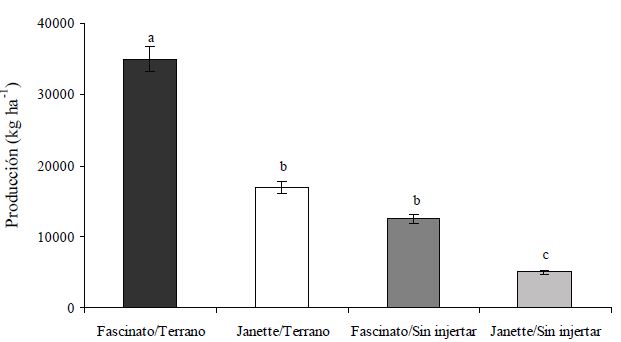 Efecto de la combinaci&oacute;n variedad-portainjerto sobre la producci&oacute;n total en pimiento morr&oacute;n. Las l&iacute;neas verticales en cada barra corresponden a la desviaci&oacute;n est&aacute;ndar. Promedios con letras iguales en cada barra no son estad&iacute;sticamente diferentes (LSD, 0.05). 