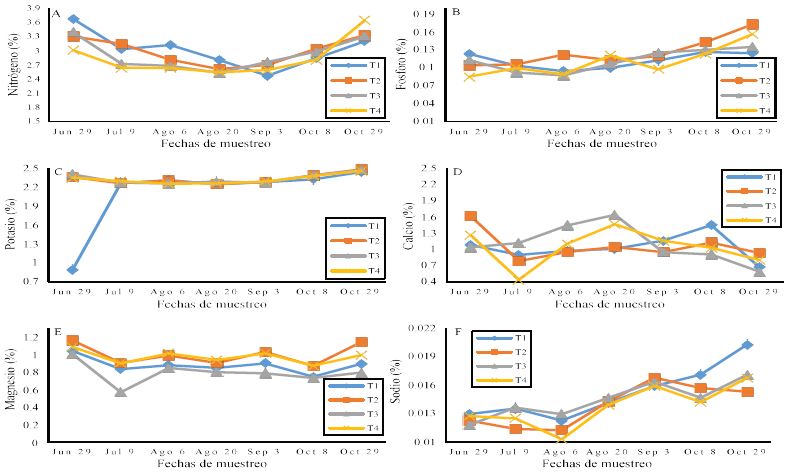 Efecto del uso de portainjerto sobre la din&aacute;mica nutricional de macronutrientes en pimiento morr&oacute;n: A) nitr&oacute;geno; B) f&oacute;sforo; C) potasio; D) calcio; E) magnesio; y F) sodio. T1= Janette sin injerto; T2= Janette injertado con Terrano; T3= Fascinato sin injerto; T4= Fascinato injertado con Terrano. 