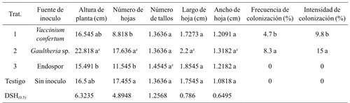 Resultados de mediciones de crecimiento de plántulas y colonización por micorrizas de acuerdo con las fuentes de inóculo probadas en arándano cv Biloxi.