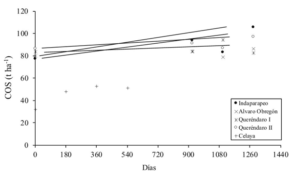 Tasa de acumulaci&oacute;n de COS en cinco Vertisoles sometidos a labranza de conservaci&oacute;n en el Baj&iacute;o. 