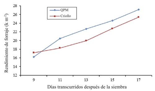 Promedio de rendimiento de forraje en maíz criollo y de alto contenido de proteína (QPM) en diferentes muestreos en 2014.