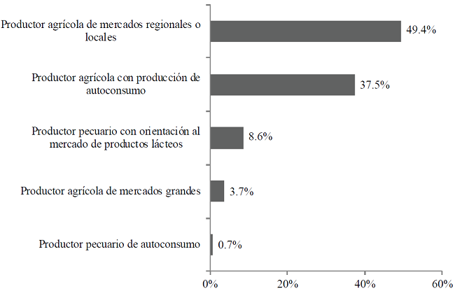Ocupaci&oacute;n principal de la muestra de productores.