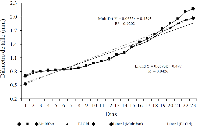 Di&aacute;metro de tallo del portainjerto e injerto en 23 d&iacute;as despu&eacute;s de emergencia