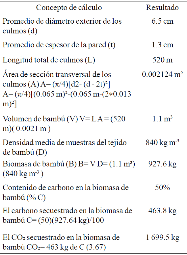 Memoria de c&aacute;lculo de CO2 secuestrado en la biomasa de bamb&uacute; estructural.