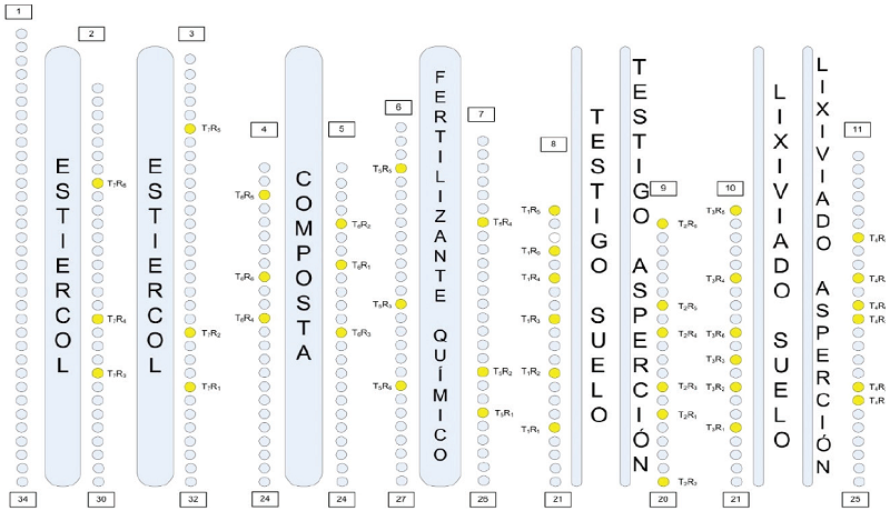 Plano de parcela experimental por tipo de tratamiento.