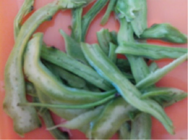 Los nopales seleccionados fueron sometidos a un proceso de corte manual a fin de reducir su volumen a muestras de 1 cm3.