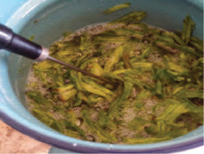 Se realizó un monitorio de temperatura hasta alcanzar los 50 °C (termopar Hanna), durante una hora, para evitar una reducción de viscosidad y funcionalidad en el mucílago.