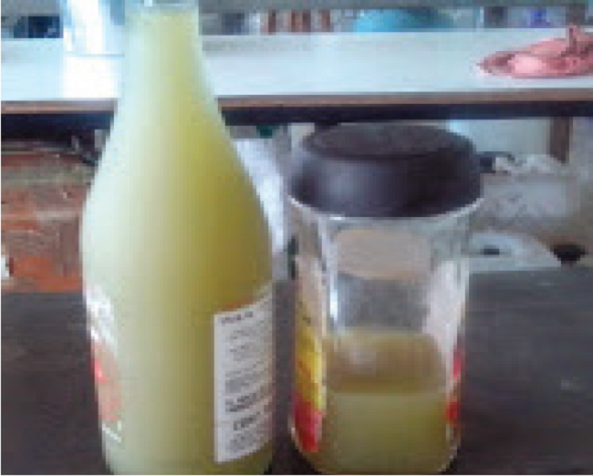 Se procede al almacenamiento en contenedores de vidrio para evitar una interacción química o alteración de propiedades por parte del material del envase.