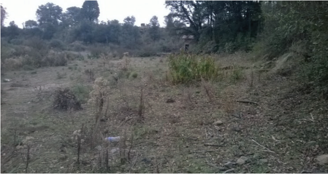 Determinación de la superficie destinada para la parcela experimental en San Lorenzo Tlacoyucan, delegación Milpa Alta de 500 m2