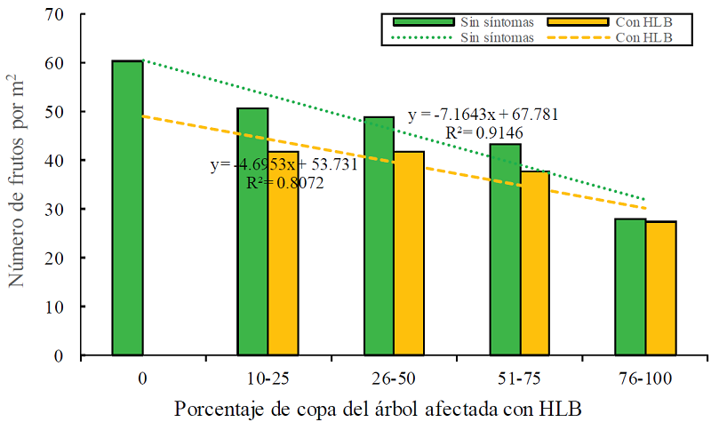 Frutos por metro cuadrado en sectores con y sin síntomas del HLB en árboles de limón mexicano con distinto porcentaje de copa afectada por la enfermedad.