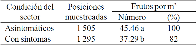 Número de frutos por m2 de copa en sectores con y sin síntomas en árboles de limón mexicano con distinta proporción de copa afectada por HLB.
