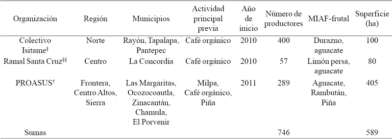 Casos de adopci&oacute;n espont&aacute;nea de MIAF por organizaciones pre-existentes de productores del estado de Chiapas.