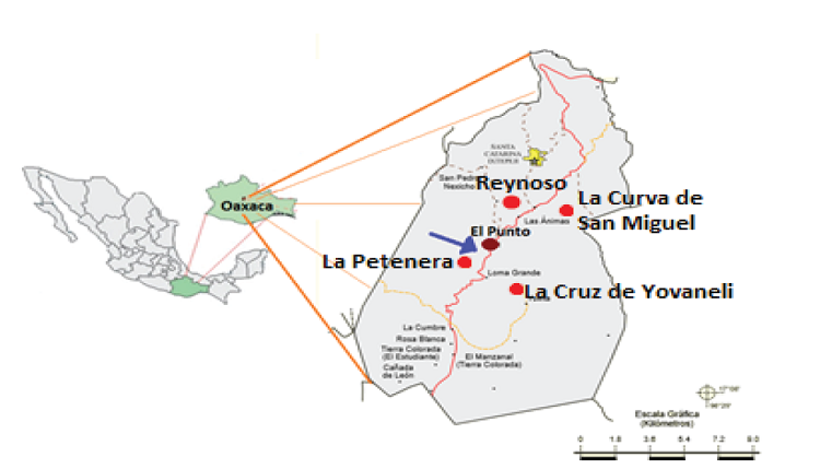 Localizaci&oacute;n y colindancias de la comunidad de &ldquo;El Punto&rdquo;, Santa Catarina Ixteji, Oaxaca. (INEGI, 2005).