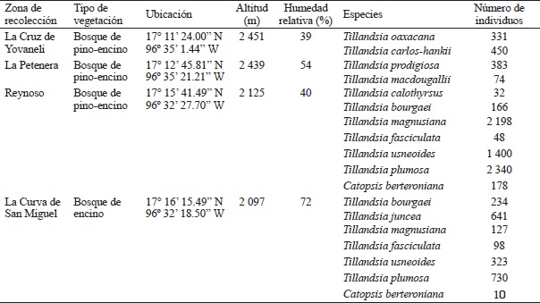Diversidad y abundancia de cada zona de recolecci&oacute;n.