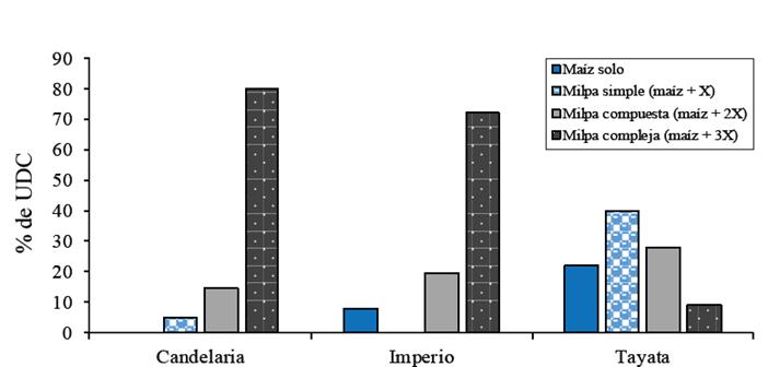 Ubicaci&oacute;n de los municipios y comunidades de estudio en el Distrito de Tlaxiaco (INEGI, 2002).