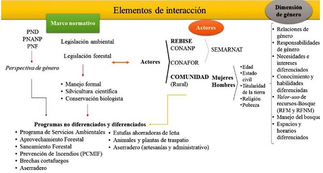 Elementos interrelacionados encontrados en el análisis de las relaciones de género e instituciones públicas.