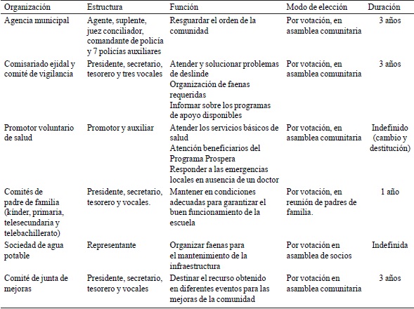 Principales asociaciones y organizaciones encontradas en la comunidad y sus caracter&iacute;sticas.