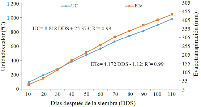 Unidades calor y evapotranspiraci&oacute;n acumulada en el agrosistema de ma&iacute;z y sorgo. Sandovales, Aguascalientes. Verano 2014. 