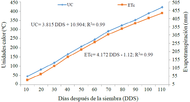 Unidades calor y evapotranspiraci&oacute;n acumulada en el agrosistema de ma&iacute;z y sorgo. Sandovales, Aguascalientes. Verano 2014. 