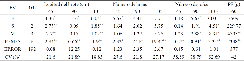 Suma de cuadrados del análisis de varianza para el efecto de la especie, los sustratos y medios de cultivo en la longitud del brote, número de hojas, número de raíces y peso fresco de Laelia anceps Lindl. y Epidendrum sp.después de 45, 90 y 135 días de cultivo.