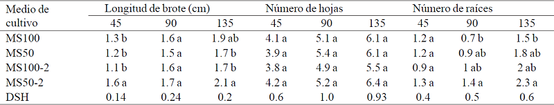 Efecto del medio de cultivo en la longitud de brote, número de hojas y número de raíces después de 45, 90 y 135 días de cultivo.