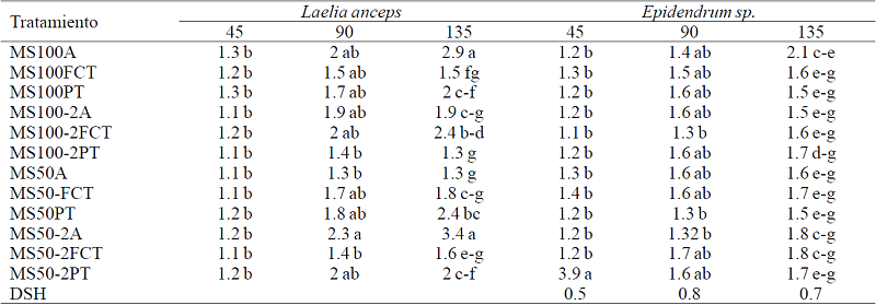Efecto de los tratamientos en la longitud del brote de Laelia anceps Lindl. y Epidendrum sp. a 45, 90 y 135 días del cultivo. 