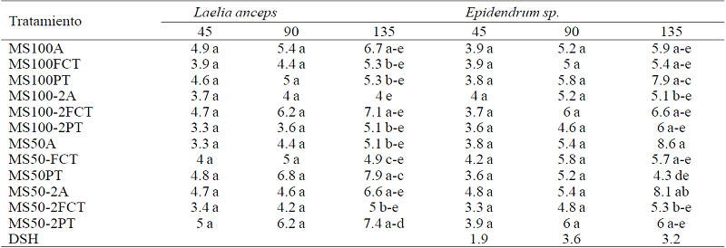 Efecto de los tratamientos en el número de hojas de Laelia anceps Lindl. y Epidendrum sp. a los 45, 90 y 135 días después del inicio del experimento. 