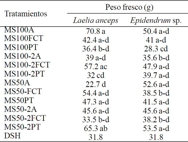 Peso freso de los brotes de Laelia anceps Lindl.y Epidendrum sp. después de 60 días de cultivoin vitro.