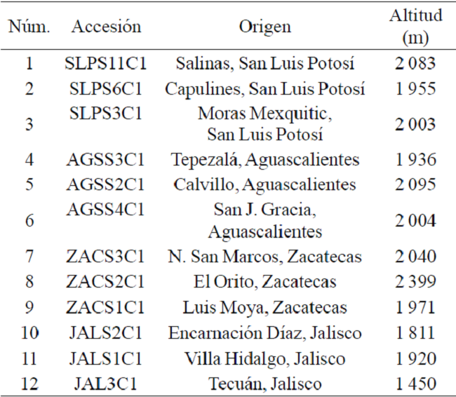 Procedencia de las accesiones de R. communis L.