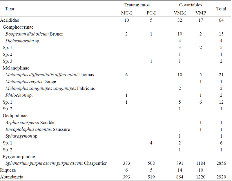 Especies de saltamontes y su abundancia en dos tipos de manejo agrícola y la vegetación de los márgenes de las parcelas en Erongarícuaro, Michoacán.