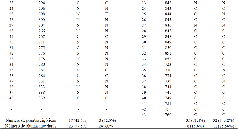 Origen cigótico o nucelar de las poblaciones de C. aurantifolia×C. limon y su recíproca mediante análisis SSR utilizando dos pares de oligonucleótidos. C= cigótico; N= nucelar; I= indeterminado.