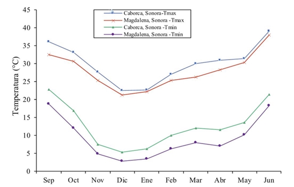 Temperaturas m&aacute;ximas y m&iacute;nimas mensuales registradas en el ciclo oto&ntilde;o-invierno 2013-2014 en las regiones de Caborca y Magdalena, Sonora. 