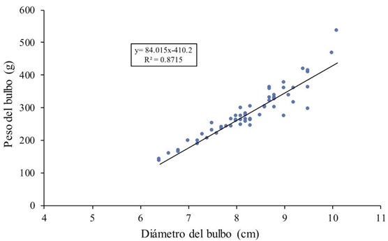 Relación entre diámetro y peso de la semilla.