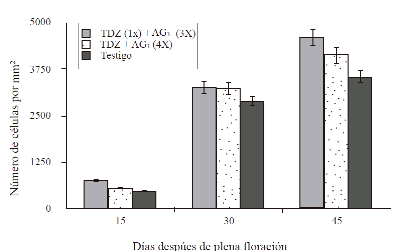 Número de células de la sección transversal del mesocarpo de frutos partenocárpico en desarrollo de mango ‘Ataulfo’. 1X= una aplicación a 0 DDF; 3X= tres aplicaciones a 15+30+45 DDF; 4X= cuatro aplicaciones a 15+30+45+60 DDF. Las barras en columna representan el promedio de 12 secciones por tratamiento ± error estándar.