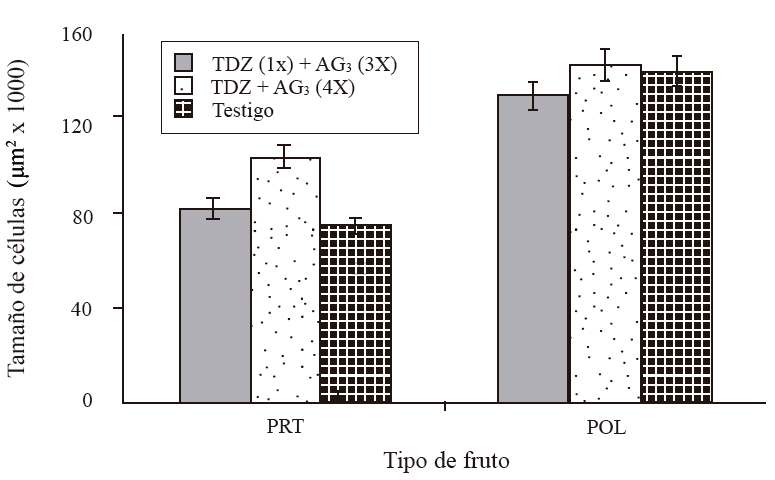 Tamaño de células de la sección transversal del mesocarpo de frutos partenocárpico y polinizados de mango ‘Ataulfo’, 45 días DDF. 1X= una aplicación a 0 DDF; 3X= tres aplicaciones a 15+30+45 DDF; 4X= cuatro aplicaciones a 15+30+45+60 DDF. Las barras en columna representan el promedio de 12 secciones por tratamiento ± error estándar.