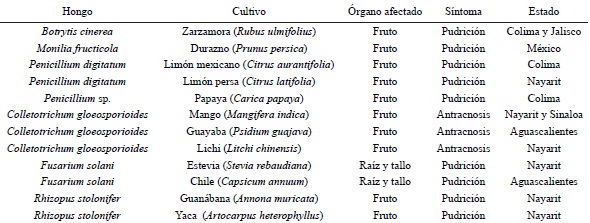 Procedencia y cultivo de los aislados de hongos.